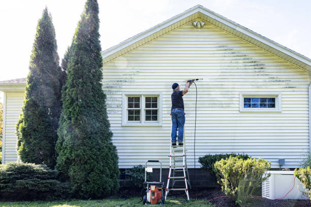 Best Roof Washing  in Park City, MT